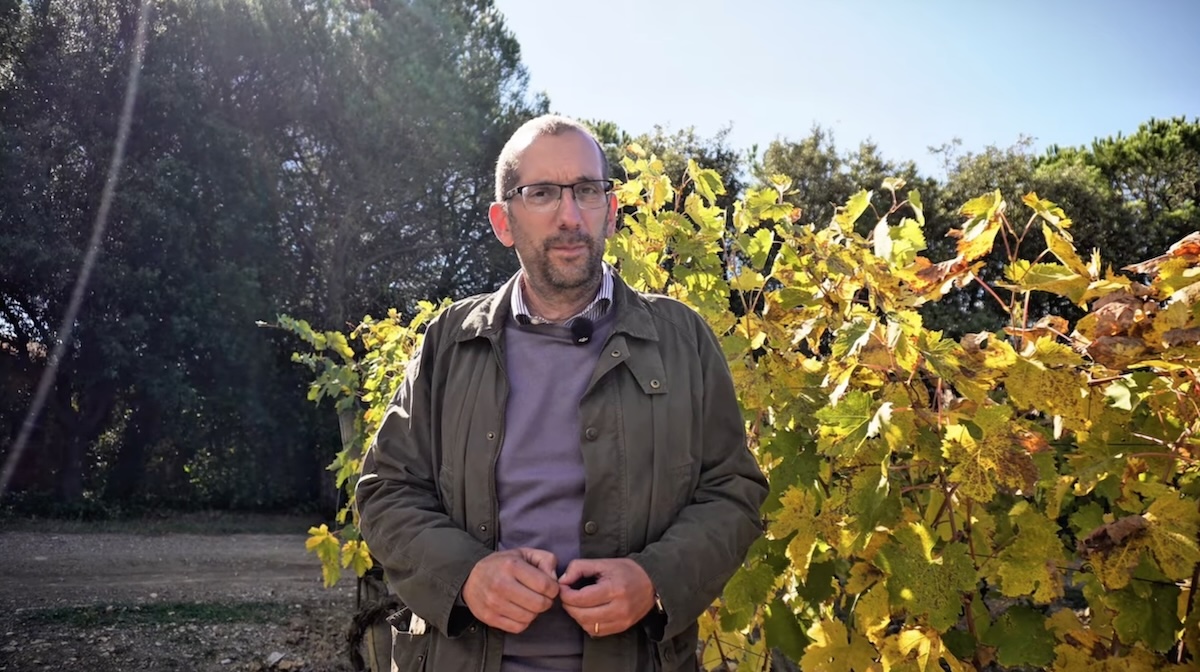 Pier Giuseppe D'Alessandro, responsabile aziendale di Poggio Antico